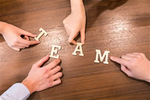 半枝杏含义是什么